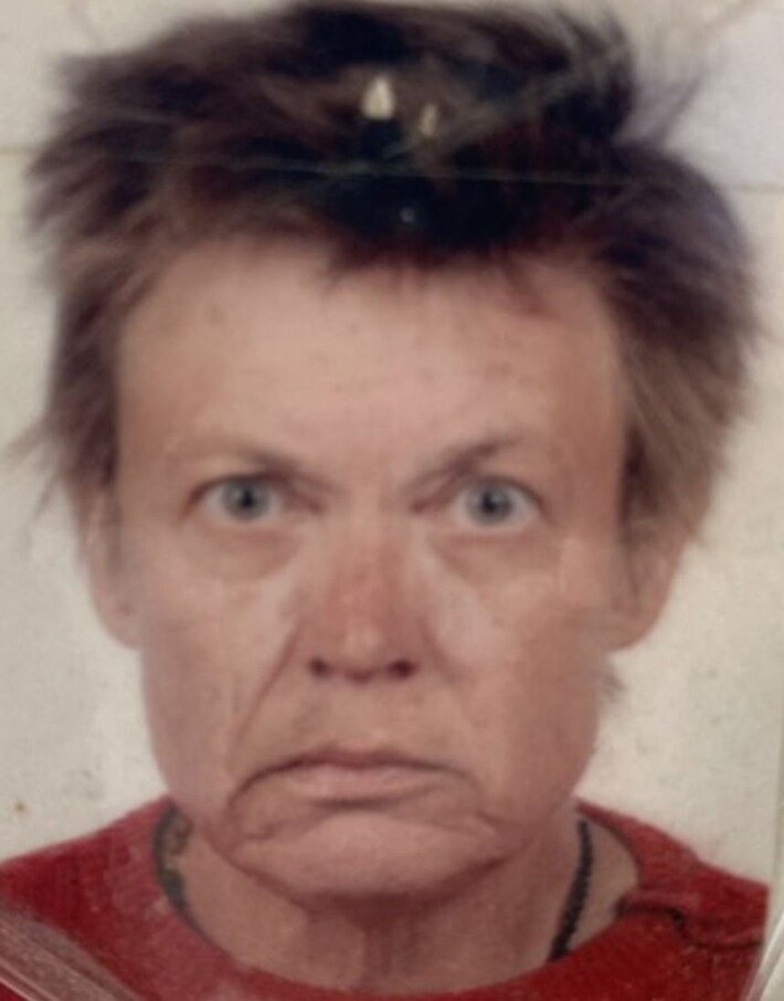 Help Find Missing Person Heike Nießen from Neu-Isenburg – Call for Public Assistance