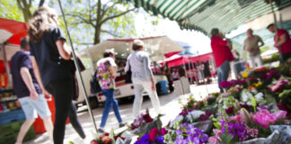 „Unterm Schermsche“ gibt’s am Samstag viele Informationen über insektenfreundliche Pflanzen. Foto: Stadt Offenbach / Katja Lenz